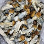 buy golden teachers