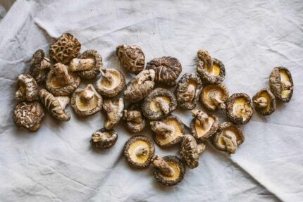 dried shiitake mushroom​