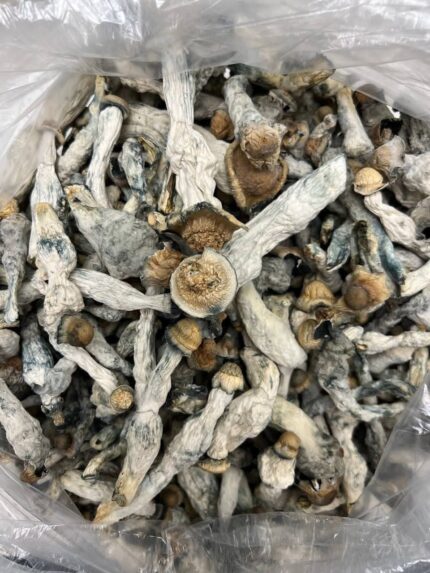 buying psychedelic mushrooms online​​
